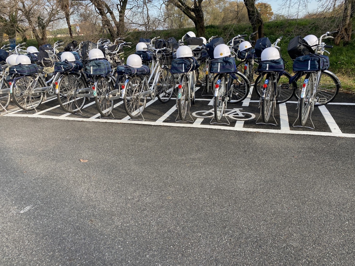 大沼公園 駐輪場