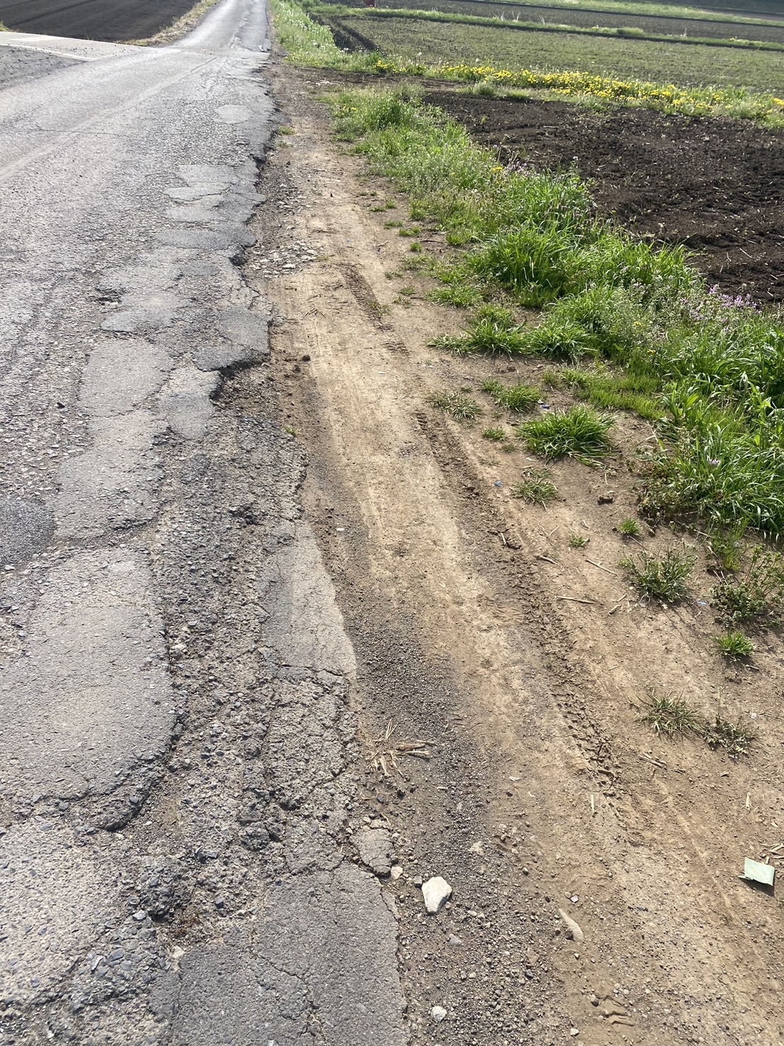 市道1342号線の舗装修繕決定